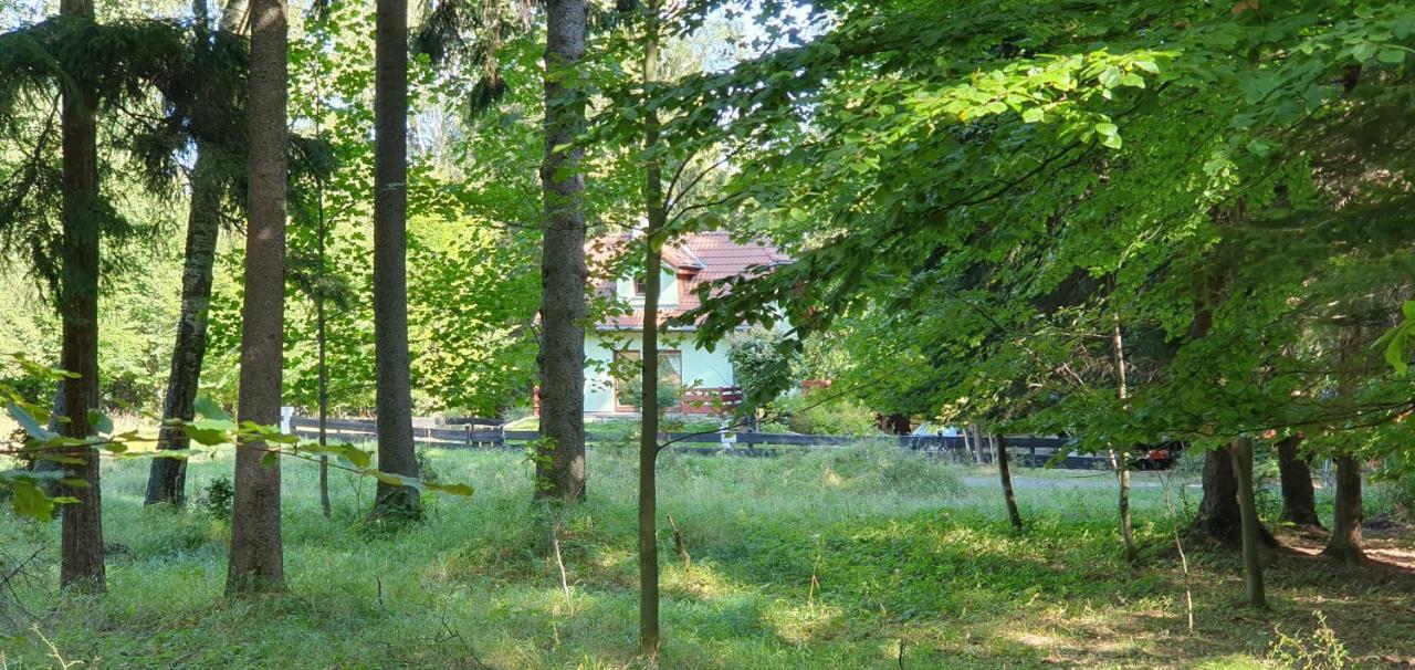 Domek Tylko Tu Szklarska Poręba Zewnętrze zdjęcie